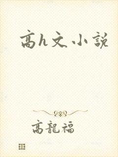 高h文小说