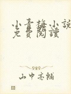 小青梅小说全文免费阅读