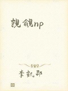 觊觎np