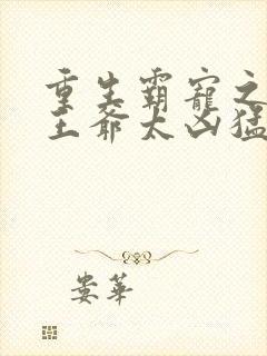 重生霸宠之摄政王爷太凶猛