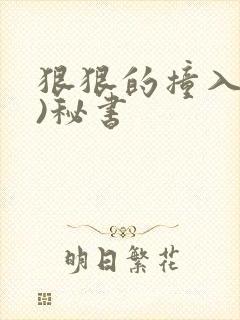 狠狠的撞入(h)秘书