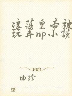 浪荡皇帝被多人玩弄np小说