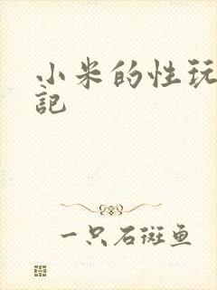 小米的性玩具日记