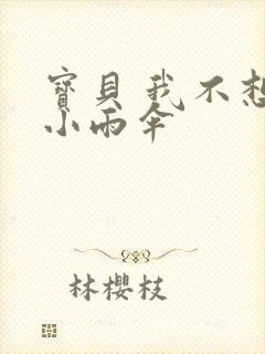 宝贝 我不想带小雨伞