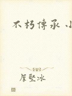 不朽传承 小说封面