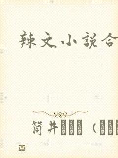 辣文小说合集