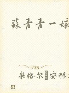 苏青青一嫁三夫封面