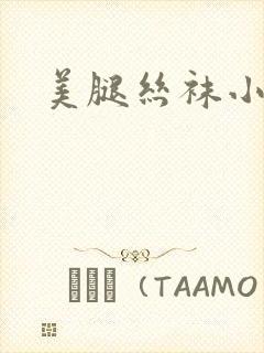 美腿丝袜小说封面