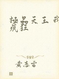 极品天王 我本疯狂