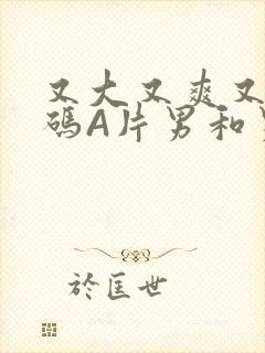 又大又爽又黄无码A片男和男