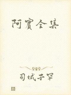 阿宾全集封面