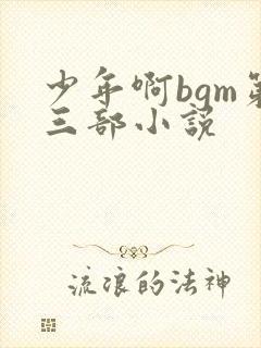 少年啊bgm第三部小说封面