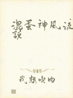 混蛋神风流史小说