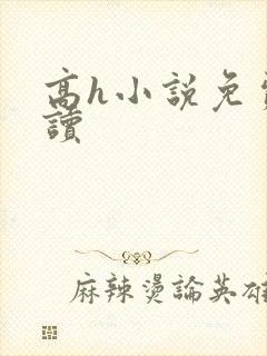 高h小说免费阅读