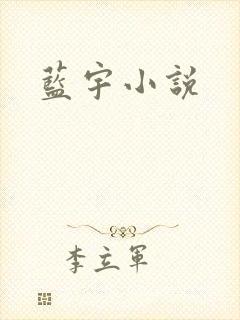 蓝宇小说封面