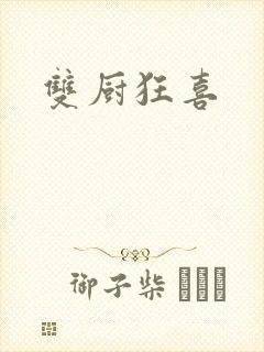 双厨狂喜