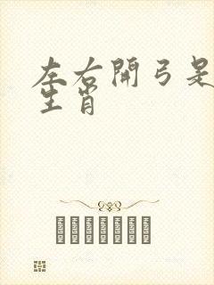 左右开弓是什么生肖