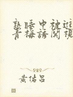 熟睡中被进了H青梅诱哄视频