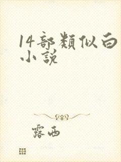 14部类似白洁小说封面