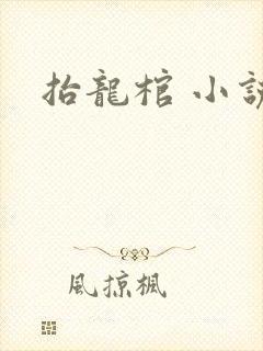 抬龙棺 小说封面