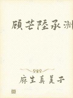 顾芒陆承洲