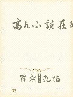 高h小说在线看