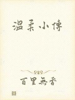 温柔小传封面