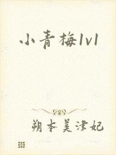 小青梅1v1