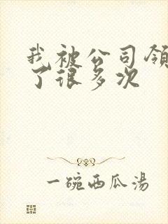 我被公司领导C了很多次