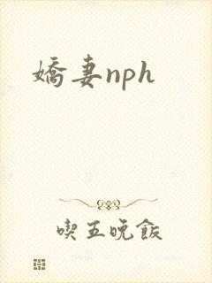娇妻nph