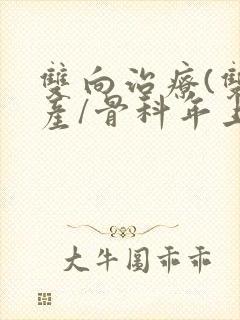 双向治疗(双/产/骨科年上)