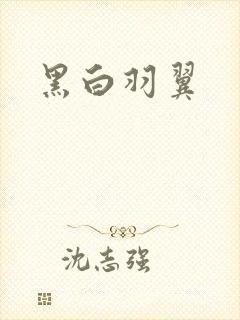 黑白羽翼