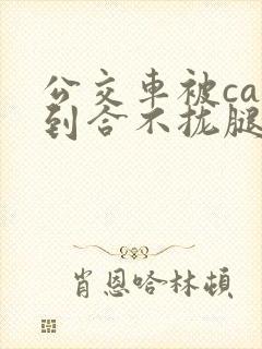 公交车被cao到合不拢腿视频封面