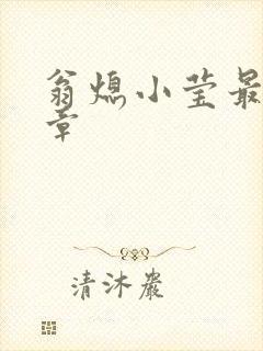 翁熄小莹最新节章封面