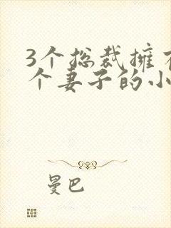 3个总裁拥有一个妻子的小说封面