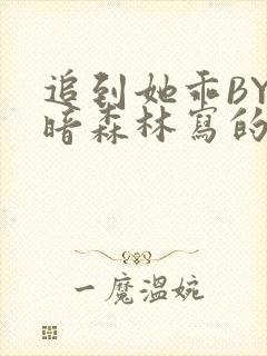追到她乖BY黑暗森林写的小说
