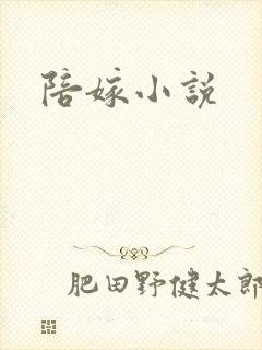 陪嫁小说