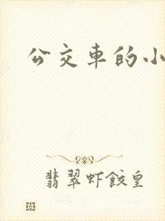 公交车的小说封面
