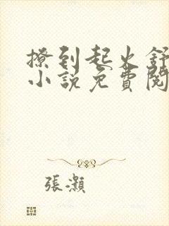 撩到起火舒漾的小说免费阅读全文封面