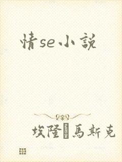 情se小说