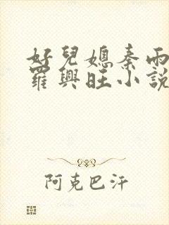 好儿媳秦雨罗明罗兴旺小说