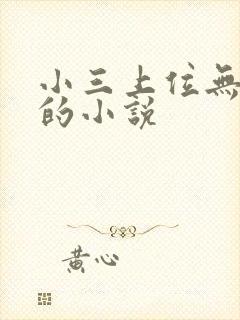 小三上位无三观的小说