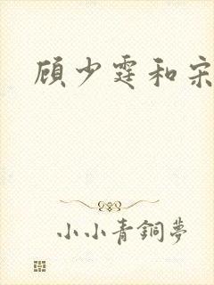 顾少霆和宋斯曼