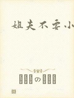 姐夫不要小说