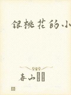 银桃花的小说