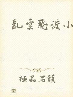 乱云飞渡小说