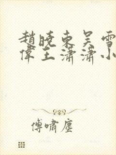 赵晓东吴雪晴郑伟王潇潇小说名字