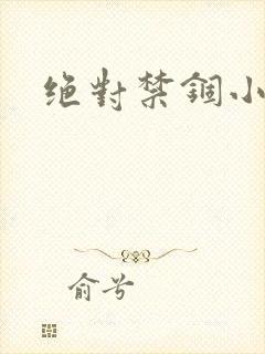 绝对禁锢小说封面