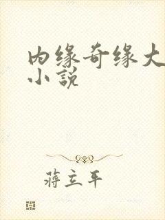 内缘奇缘大团圆小说