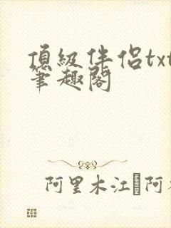 顶级伴侣txt笔趣阁
